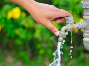 5 Easy ways to reduce your household water usage