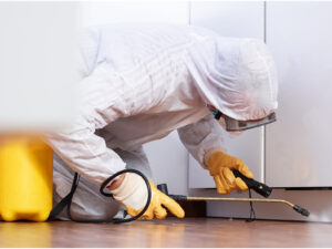 WHO IS RESPONSIBLE FOR PEST CONTROL IN A RENTAL PROPERTY?